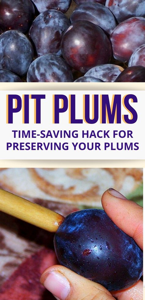 Learn how to quickly pit plums for cooking or preserving! Freeze Plums How To, How To Can Plums, Freezing Fresh Plums, What To Do With Fresh Plums, How To Freeze Fresh Plums, Canning Plums Whole, How To Freeze Plums, How To Preserve Plums, Canned Plums Recipes