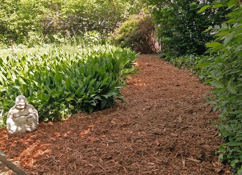 Garden paths serve both a practical and aesthetic purpose in the yard. They provide a safe and easy walkway to and from the house and garden, and give you an opportunity to visually connect your yard and home. Garden paths also help define the spaces in your outdoor landscape, and can bring overall beauty to your property. There are many options to choose from for the material and design of a garden path. From pavers, to stepping-stones, to plain mulch, there’s something for every b... Straw Bale Gardening, Backyard Walkway, Diy Garden Bed, Pathway Landscaping, Garden Shrubs, Garden Pathway, Side Yard, Garden Bed, Pergola Shade