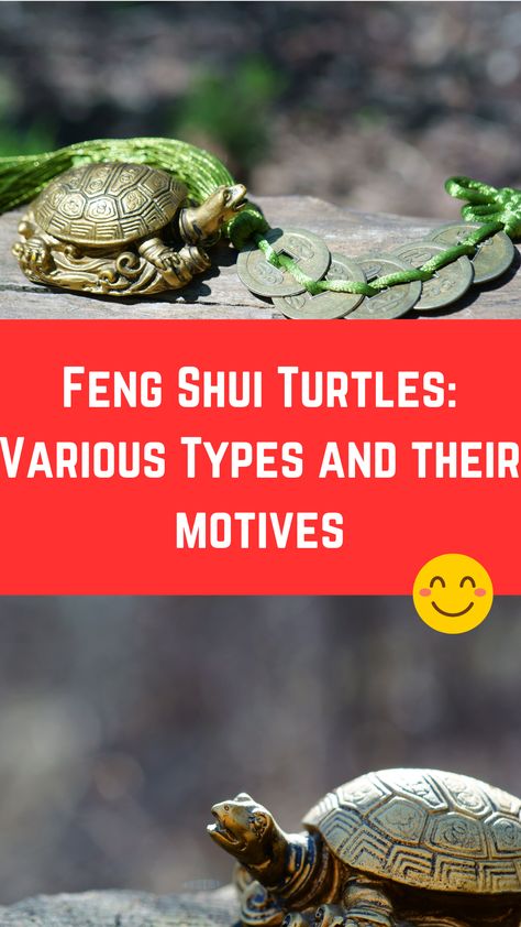 Feng Shui Turtles: Various Types and their motives Feng Shui Buddha Placement, Safety Turtle, Feng Shui Entrance, Turtle Meaning, Turtle Dragon, Feng Shui Turtle, Feng Shui Fish, Chinese Coins Feng Shui, Feng Shui Frog