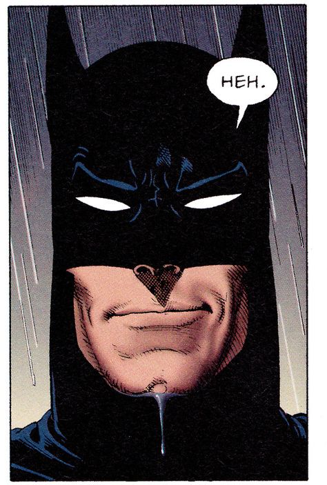 ©Brian Bolland Brian Bolland, Bob Kane, Univers Dc, Batman Artwork, Batman And Catwoman, Arte Dc Comics, Batman Universe, Im Batman, Bd Comics