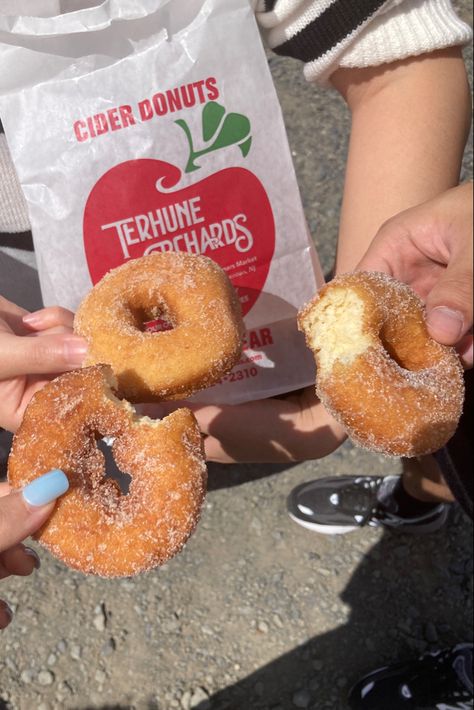 Apple Cider Donuts Aesthetic, Apple Picking Aesthetic, Fall Sleepover, Donuts Aesthetic, Apple Picking Fall, Apple Festival, Apple Donuts, Fall Boards, Fall Snacks