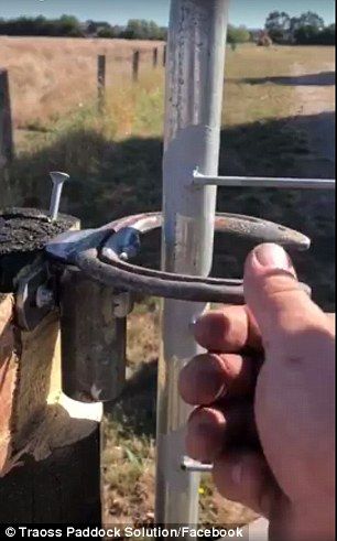 Ingenious replacement for a gate latch sets the internet alight Gate Latch Ideas, Farming Couple, Cattle Gate, Diy Gate, Pipe Fence, Farm Hacks, Horse Farm Ideas, Ranch Gates, Horseshoe Crafts Projects