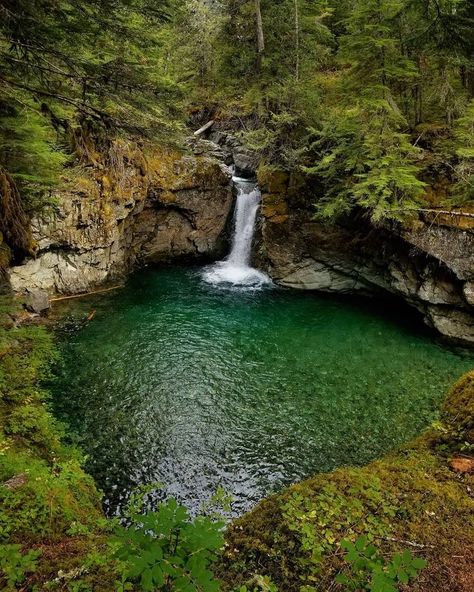 Waterfall Swimming Hole, Swimming Hole Aesthetic, Washington Waterfalls, Washington Adventures, Washington Summer, Washington Hiking, Summer Bucket List For Teens, Oregon Summer, Gifford Pinchot National Forest