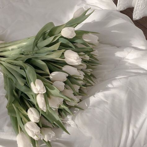 Sage Green Aesthetic, White Tulips, Green Aesthetic, Sage Green, Tulips, Flowers, Green