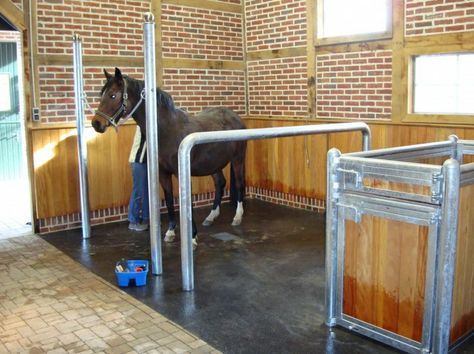 indoor washbay | Laake wash bay and inspection box Show Goats, Wash Station, Horse Barn Designs, Dream Stables, Horse Washing, Horse Ideas, Horse Stable, Horse Boarding, Horse Grooming