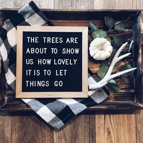 Image may contain: text Letter Board Sayings, Felt Board Quotes, Quotes Thanksgiving, Letterboard Ideas, November Quotes, Board Sayings, Letterboard Quotes, Message Board Quotes, Letter Board Ideas