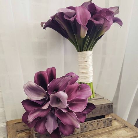 Colorful Calla Lily Bouquet, Purple Calla Lily Wedding Bouquet, Purple Calla Lily Bouquet, Purple Calla Lilies Wedding, Calla Bouquet, Calla Lily Wedding Bouquet, Calla Lily Wedding Flowers, Calla Lily Colors, Calla Lily Bouquet Wedding