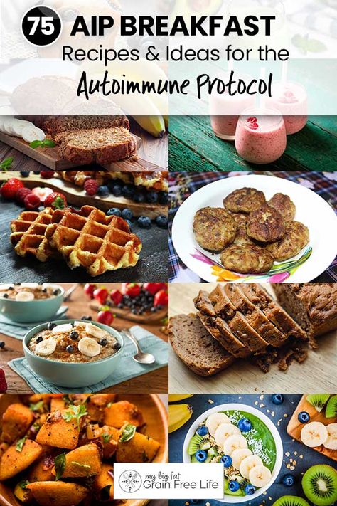 75 AIP Breakfast Recipes & Ideas for the Autoimmune Protocol Autoimmune Paleo Breakfast, Aip Breakfast Ideas, Autoimmune Protocol Breakfast, Aip Diet Breakfast, Aip Breakfast Recipes, Elimination Diet Breakfast, Autoimmune Protocol Diet Recipes, Blueberry Breakfast Bars, Paleo Breakfast Recipes