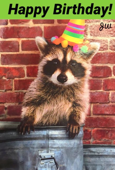 Happy Birthday Raccoon Meme, Raccoon Memes, Happy Birthday Wishes For Him, Happy Birthday Angel, Happy Birthday Wishes For A Friend, Birthday Wishes For Him, Raccoon Art, Birthday Memes, Birthday Greetings Friend