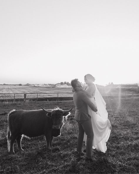 Them: ”CAN WE TAKE SUNSET PHOTOS WITH THE COWS?!” Me: Uhm absolutely! Eeek I felt so lucky Hadley & Mariya chose me to capture their wedding day… I’m a sucker for backyard weddings 🥲 They had their ceremony and reception on her uncle’s farm which meant we got to take sunset photos with the cutest highland cows!! It was such a memorable day, and I’m so happy these two finally sealed the deal!! 📸🐮🌅 #twinfallsidahoweddings #twinfallsidahoweddingphotographer #twinfallswedding #twinfallsphotogr... Cow Wedding Pictures, Cow Wedding, Animal Wedding, Twin Falls Idaho, Backyard Weddings, Chose Me, Highland Cows, Photography Styles, Wedding Photography Styles