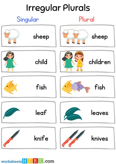 Irregular Plural Nouns List, Grammar In English, Nouns In English, Irregular Nouns, Irregular Plural Nouns, Singular Plural, Irregular Plurals, Singular And Plural Nouns, Singular Nouns