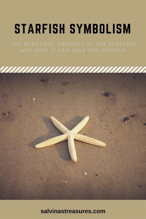 The starfish has many symbolic meanings and connotations attached to it but for me, the most important is one that we all need to survive in this world. I talk about this very important trait in my blog post about starfish symbolism and meanings here -->> http://www.salvinastreasures.com/starfish-symbolism/ #starfishmeaning #starfishsymbol Starfish Quotes, The Starfish Story, Symbolism And Meanings, Starfish Story, Tatoo Inspiration, Beach Ware, Starfish Jewelry, Beautiful Meaning, Gonna Be Alright