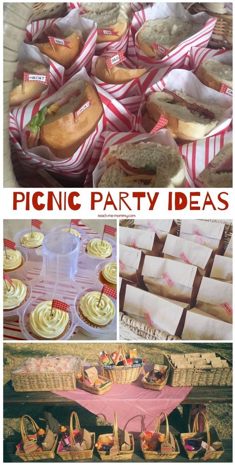 Picnic Party Ideas, simple and easy to tote around ideas! Kids Picnic Parties, Picnic Party Ideas, Graduation Picnic, Picnic Party Food, Picnic Themed Parties, Church Picnic, Indoor Picnic, Picnic Birthday Party, Kids Picnic