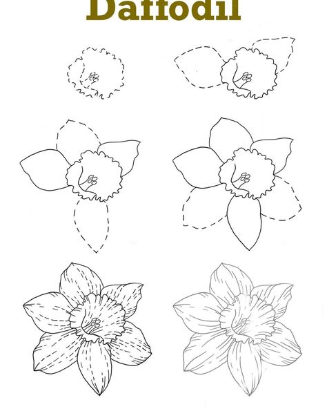 Bullet Journal Flowers, Daffodil Drawing, Journal Flowers, Daffodils Planting, How To Draw Flowers, Line Art Flowers, Draw Flowers, Flower Line Drawings, Flowers Printable