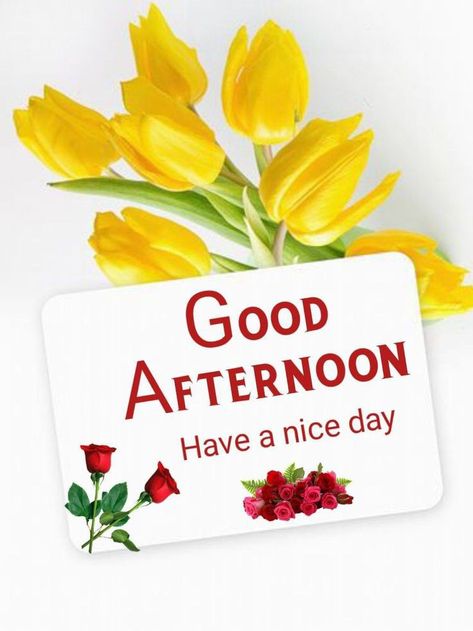 Gud Afternoon Images, Happy Sunday Messages, Good Afternoon Images Hd, Gud Afternoon, Afternoon Greetings, Afternoon Messages, Afternoon Wishes, Good Afternoon Images, Afternoon Images