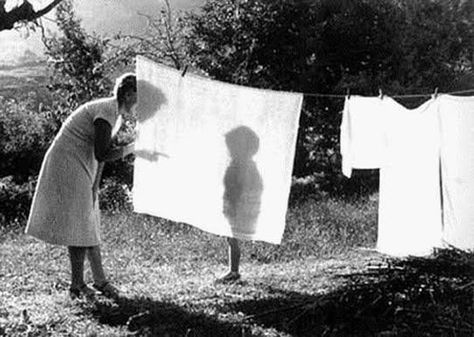 Great Black And White Photographs From The Masters Of Photography Willy Ronis, Andre Kertesz, Shadow Play, Magnum Photos, Foto Art, Photo Vintage, Caravaggio, Bw Photo, White Photo