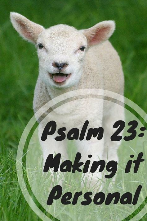 The Psalm 23 meaning is deep and rich for every believer. This post features Psalm 23 explained beautifully in a personal way. Experience God's peace, comfort, and blessing from this amazing portion of God's word. Psalm 23 Bible Study, Psalms Meaning, 23 Meaning, God's Peace, Psalms 23, God's Daughter, Children Ministry, Proverbs 31 Women, Women's Retreat