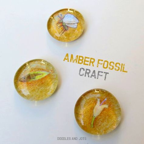 Fossil Craft, Fossils Activities, Dinosaur Roar, Vbs Craft, Dinosaur Activities, Dinosaur Crafts, Amber Fossils, World Party, Science Ideas