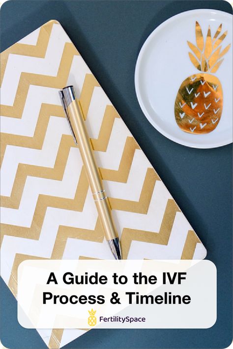 A step-by-step guide of the IVF process & the typical timeline, from consult to pregnancy test Ivf Process Step By Step, Ivf Timeline, Ivf Egg Retrieval, Surrogacy Journey, Ivf Tips, Ivf Procedure, Fertility Help, Embryo Transfer, Trying To Get Pregnant