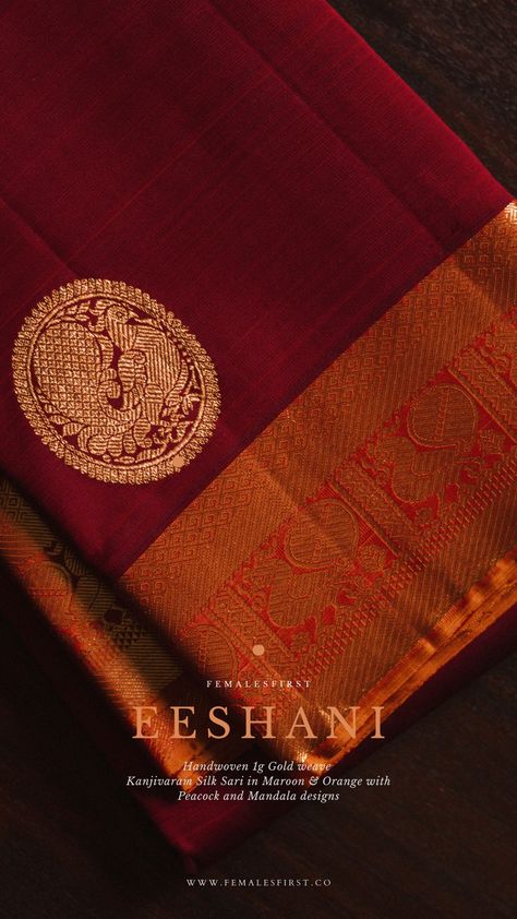 Luxury Saree With Traditional Patterns For Diwali, Saree Product Photoshoot, Saree Branding, Saree Brand Logo, Saree Catalogue Shoot, Luxury Diwali Saree Digital Prints, Indian Catalogue Shoot, Sari Product Photography, Saree Shoot