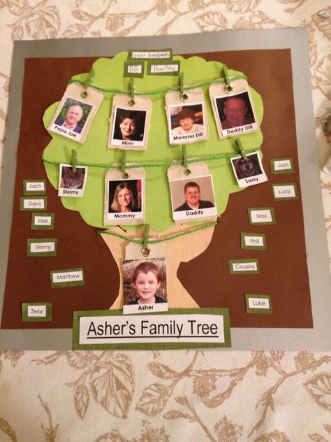 Diy Family Tree Project For School, Family Collage Ideas For School, Family Poster Project For School, Creative Family Tree Ideas For School, Family Tree Ideas For School Project, Family Tree Project For School, Diy Family Tree Project, Cute Supplies, Family Tree House