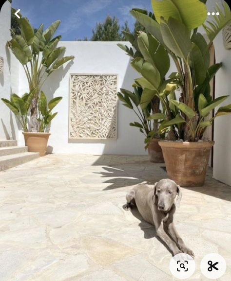 Ibiza Garden Ideas, Ibiza Style Garden, Noosa Beach, Summer Gardens, Bali Style Home, Spain House, Terrace Floor, Bali House, Flagstone Patio