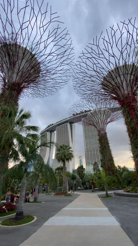 Minimal Video, Singapore Aesthetic, Singapore Things To Do, Singapore Vacation, Singapore Attractions, Singapore Garden, Singapore Tour, Singapore Photos, Easy Photography Ideas