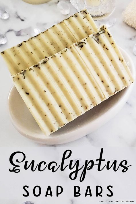 Gently cleansing and soothing the skin, these Eucalyptus soap bars make a wonderful soap making project for beginners. Eucalyptus Diy, Melt And Pour Soap Base, Eucalyptus Soap, Homemade Soap Bars, Easy Soap Recipes, Homemade Spa, Peppermint Soap, Vanilla Soap, Melt And Pour Soap