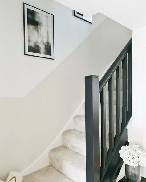 Stair Hallway Decor Ideas, Stairway Paint Ideas, Stair Hallway Decor, Stairs And Hallway Ideas, House Renovation Design, Residential Care Home, Painted Staircases, Hallway Colours, Hall Flooring