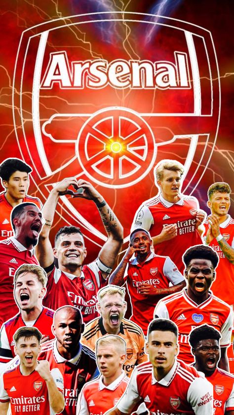 Arsenal Logo Wallpapers, Fabregas Arsenal, Arsenal Legends, Arsenal Fc Logo, Arsenal Logo, Arsenal Pictures, Arsenal Club, Arsenal Football Team, African Maternity