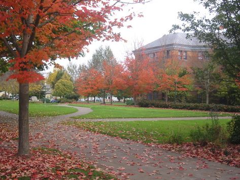 Oregon Aesthetic, Oregon College, College Vision Board, Leaves Changing Color, Tulane University, Fall Shoot, University Of Richmond, College Of Charleston, College Sorority