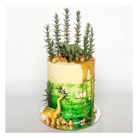 Dinosaur birthday cake with rosemary trees popcorn rocks caramel drip and vanilla buttercream Dinosaur Cupcake Ideas, Birthday Cake Boys, Dinosaur Birthday Cake, Dinosaur Cupcake, Lincoln Birthday, Dinosaur Cupcakes, Buckwheat Cake, Dino Cake, Dinosaur Birthday Cakes