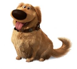 Doug from up Doug The Dog, Making The Cut, Animal Behaviorist, Disney Pixar Characters, Talking Dog, Dog Training Classes, Famous Dogs, Disney Pixar Up, Pixar Characters