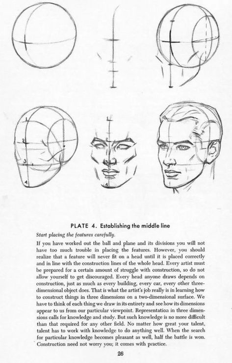 [How to-draw] andrew loomis - drawing the head and hands Andrew Loomis, Head Anatomy, Face Proportions, Face Anatomy, 얼굴 그리기, Drawing Heads, Drawing Book, Book Drawing, Anatomy Drawing