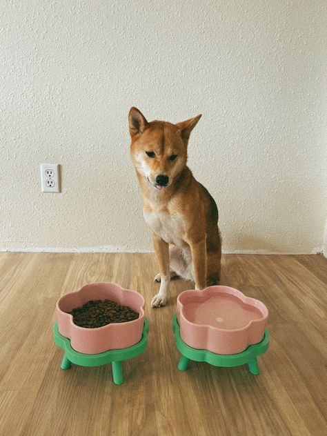 The cutest set of bowls for pets Pink flower bowl with a green stand Dog Bowl Set Up, Cute Dog Bowl Ideas, Dog Bowls Aesthetic, Cute Dog Bowls Aesthetic, Aesthetic Cat Bowls, Cute Cat Bowls Aesthetic, Cute Pet Bowls, Fancy Dog Bowls, Cute Dog Water Bowls