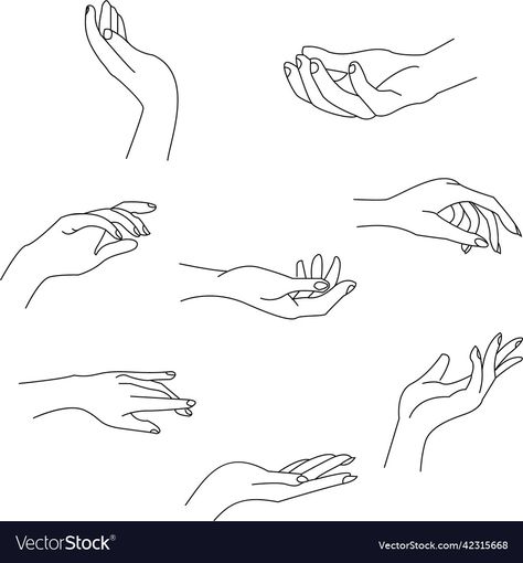 Women Hand Illustration, Drawing Of A Hand Holding Something, Female Hands Tattoo, Minimalist Hand Drawing, Outline Hand Tattoo, Nails Illustration Design, Hands Illustration Simple, Hand With Nails Drawing, Woman Hand Reference