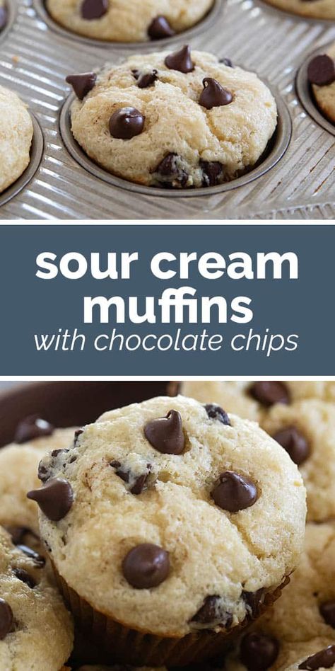 A buttery, moist muffin, studded with chocolate chips, these Sour Cream Muffins with Chocolate Chips are the perfect breakfast treat! Breakfast Ideas For One Person, Breakfast Ideas For One, Moist Chocolate Chip Muffins, Muffin Cups Recipes, Sour Cream Muffins, Chocolate Muffin Recipe, Moist Muffins, Chocolate Breakfast, Sweet Potato Muffins