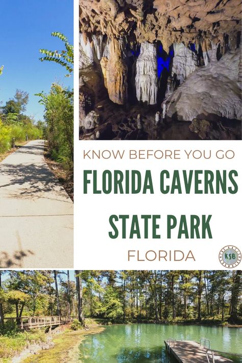 What You Need To Know For An Epic Day Trip To Florida Caverns State Park Florida Caverns, Florida Caverns State Park, Underground Caves, Cave Tours, Blue Hole, Florida State Parks, Visit Florida, Florida State, Florida Travel