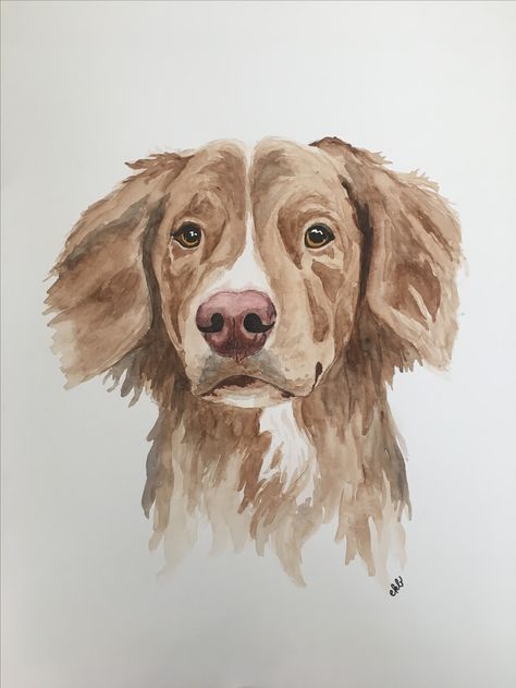 Watercolour Animal Art, Watercolour Dog Easy, Dog Drawing Watercolor, Dog Watercolour Painting, Watercolour Duck, Realistic Watercolor Paintings, Watercolour Dogs, Painting Clipart, Dog Watercolour