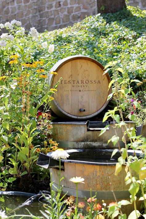 Testarossa Winery in downtown Los Gatos #wine #tour #winetasting #testarossa Green Scenery, Covered Balcony, Winery Tours, Wine Case, Fruit Plate, Wine Tour, Wedding Weekend, Napa Valley, Chardonnay