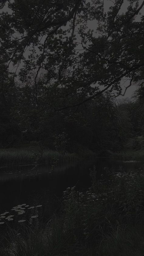 Dull Aesthetic, Dark Naturalism Aesthetic, Quiet Photos, Goblincore Fairycore, Brown Hairstyles, Dark Naturalism, Dark Forest Aesthetic, Rainy Day Aesthetic, Dark Landscape