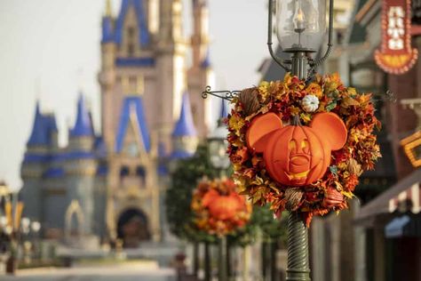 There are so many ways to enjoy fall and Halloween at Disney World's Magic Kingdom. You can even wear costumes at the park until October 31! The post Everything to know about fall and Halloween fun at Disney World’s Magic Kingdom by Jeannette Kaplun appeared first on Hispana Global. Disney World Halloween, Disney Parque, Disney Travel Agents, Mickey Pumpkin, Disney World Magic Kingdom, Special Halloween, Scary Halloween Party, Disney Magic Kingdom, Disney Dining