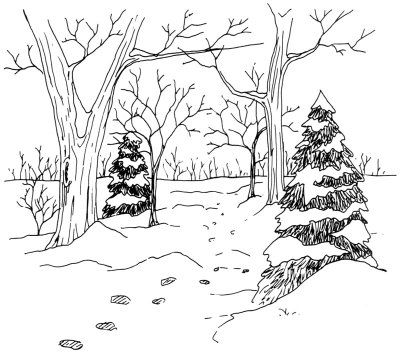 Draw a woodland trail and capture snowy footsteps in this wonderful winter landscape. Learn to draw this landscape, complete with snow-capped pines, in just five steps. How To Draw Snow, Woodland Trail, Winter Drawings, Tree Sketches, Landscape Sketch, Snowy Trees, Knight Art, Landscape Drawings, Tree Drawing