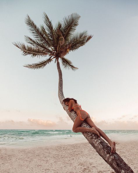 Life Goals: Take a nap on all the leaning palm trees in the world.   2 perfect leaning palm trees right on the beach in Tulum can be found right in front of Delek (this is one of them). You're welcome. Palma Beach, Climbing Trees, Tulum Travel, Beach Pics, Pic Pose, Koh Samui, Instagram Pose, You're Welcome, Take A Nap