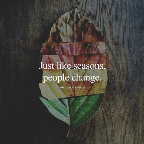 Seasons Change Quotes, People Change Quotes, Sales Shopify, Season Quotes, Mindset Growth, Letting Go Quotes, Grant Cardone, Growth Hacking, People Change