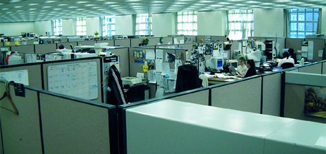 Office With Cubicles, Korn Ferry, Noah Gonzalez, Cerulean Sea, Office Shoe, Cubicle Office, Cubicle Design, Tiger Style, Office Cubicles