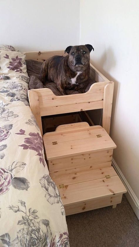 Bid farewell to allergy concerns with our anti-allergic dog beds for large dogs, protecting your pet from potential irritants. Raised Wooden Dog Bed, Wooden Dog Bed, Co Sleeper, Dog House Diy, Diy Dog Bed, Dog Rooms, Pet Ideas, Dog Ideas, Diy Dog