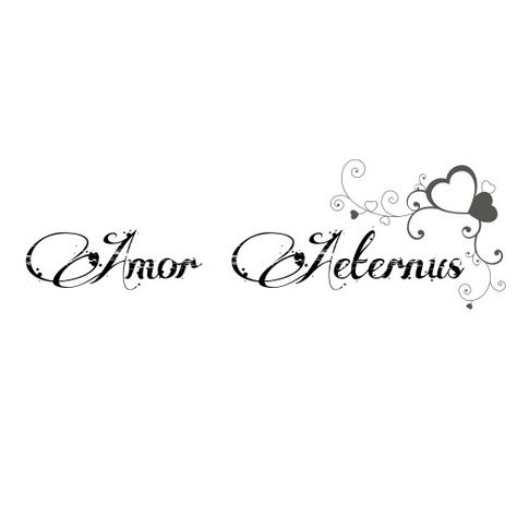 Amor Aeternus -Eternal Love Latin- Tattoo Eternal Tattoo Word, Love In Latin, Eternal Love Tattoo, Latin Tattoo, Latin Quotes, Word Tattoos, Love Tattoos, Pretty Tattoos, Eternal Love