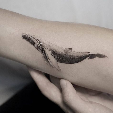 Micro-realistic whale tattoo on the inner forearm. Whale Tail Tattoo, Humpback Whale Tattoo, Whale Shark Tattoo, Hai Tattoo, Ocean Sleeve Tattoos, Marine Tattoo, Whale Tattoo, 16 Tattoo, Traditional Style Tattoo