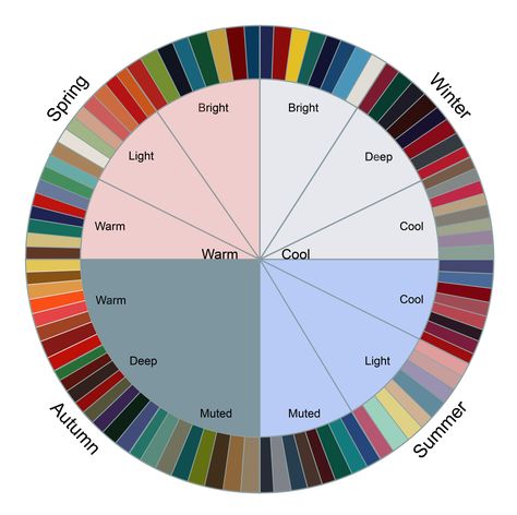 When choosing clothes, sticking to a palette within a wedge will ensure that your colors complement each other! Cloth Color Palette, Color Palette Dress Colour Schemes, Clothes Colour Pallete, Cloths Color Palette, How To Mix Colors Clothes, Clothes For Cool Undertones, Colors That Complement Each Other, Color Wheel Clothes, Color Style Guide